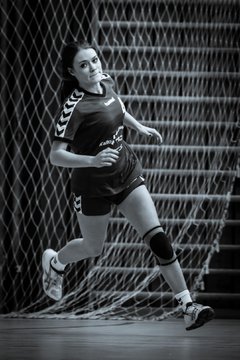 Bild 310 - A-Juniorinnen HSG Kremperheide/M�nsterdorf - HSG J�rl DE Vi�l : Ergebnis: 33:12